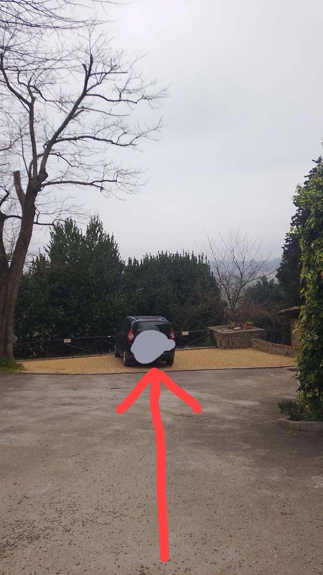 Casa Michelangelo Daire Megognano Dış mekan fotoğraf