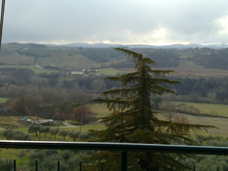 Casa Michelangelo Daire Megognano Dış mekan fotoğraf
